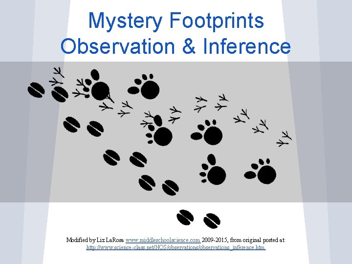 Mystery Footprints Observation & Inference Modified by Liz La. Rosa www. middleschoolscience. com 2009