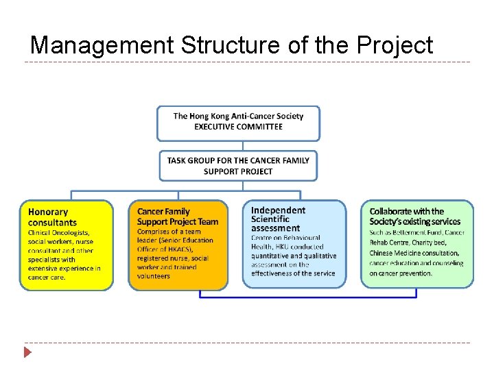 Management Structure of the Project 