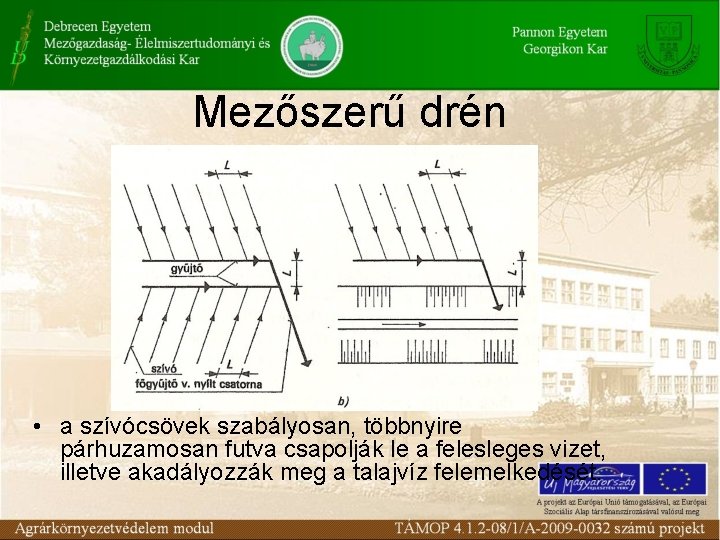 Mezőszerű drén • a szívócsövek szabályosan, többnyire párhuzamosan futva csapolják le a felesleges vizet, Mezőszerű drén • a szívócsövek szabályosan, többnyire párhuzamosan futva csapolják le a felesleges vizet,