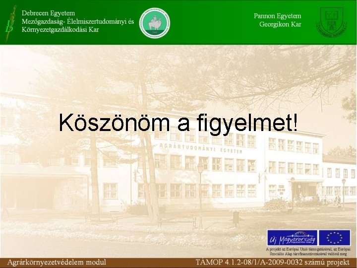 Köszönöm a figyelmet! 