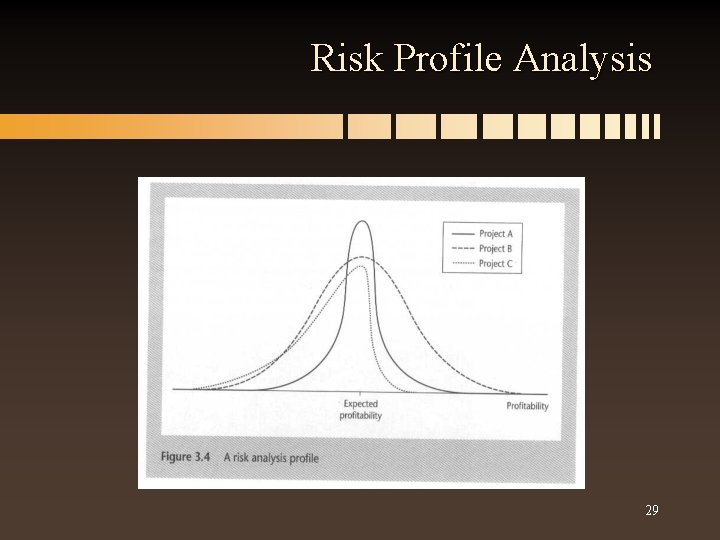 Risk Profile Analysis 29 