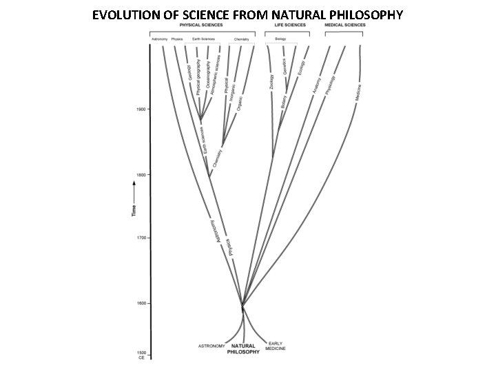 EVOLUTION OF SCIENCE FROM NATURAL PHILOSOPHY 