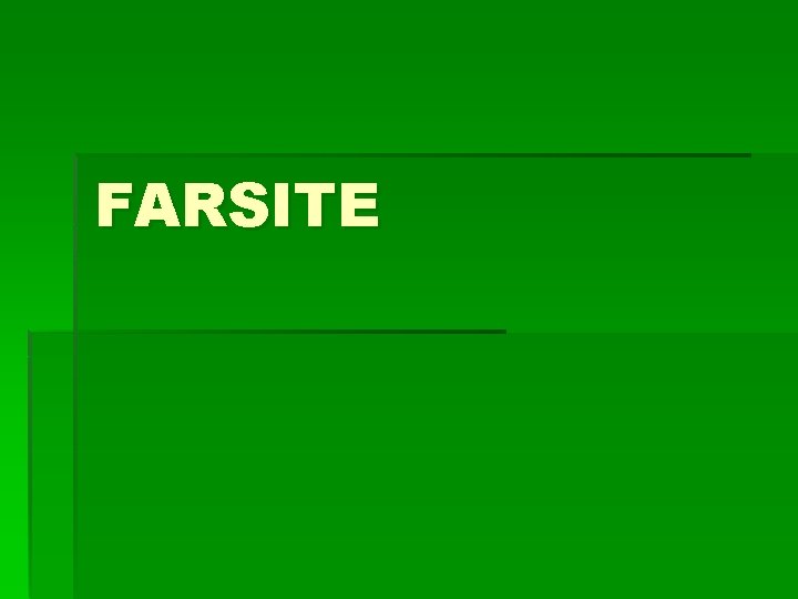 FARSITE 