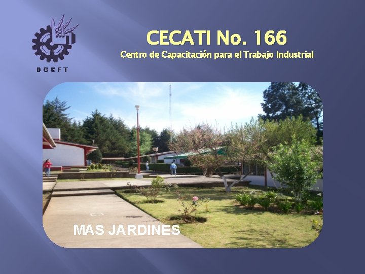 CECATI No. 166 Centro de Capacitación para el Trabajo Industrial MAS JARDINES 