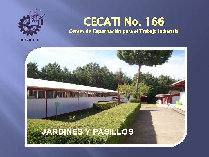 CECATI No. 166 Centro de Capacitación para el Trabajo Industrial JARDINES Y PASILLOS 