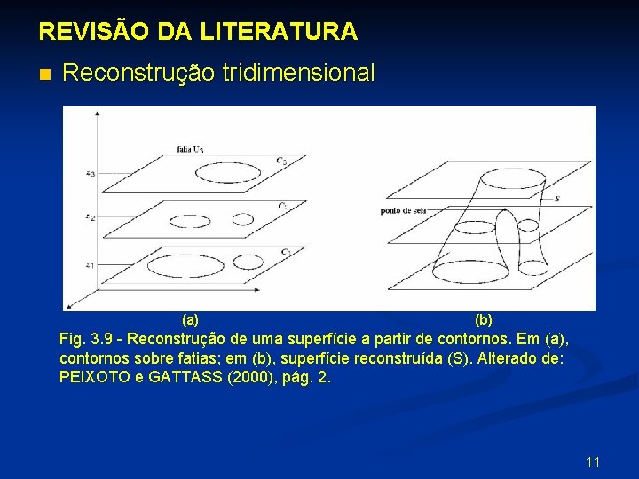 REVISÃO DA LITERATURA n Reconstrução tridimensional (a) (b) Fig. 3. 9 - Reconstrução de