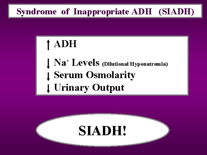 Syndrome of Inappropriate ADH (SIADH) SIADH Na+ Levels (Dilutional Hyponatremia) Serum Osmolarity Urinary Output