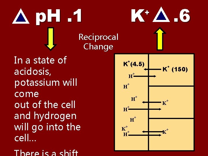 p. H. 1 K . 6 + Reciprocal Change In a state of acidosis,