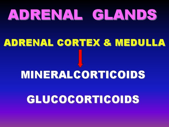 ADRENAL GLANDS ADRENAL CORTEX & MEDULLA MINERALCORTICOIDS GLUCOCORTICOIDS 