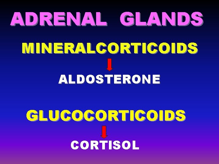 ADRENAL GLANDS MINERALCORTICOIDS ALDOSTERONE GLUCOCORTICOIDS CORTISOL 