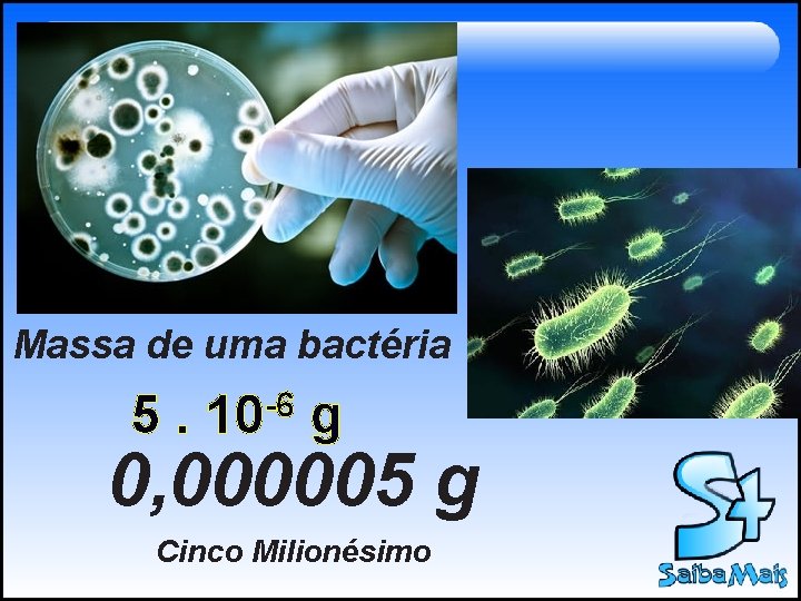 Massa de uma bactéria 5. -6 10 g 0, 000005 g Cinco Milionésimo Massa de uma bactéria 5. -6 10 g 0, 000005 g Cinco Milionésimo