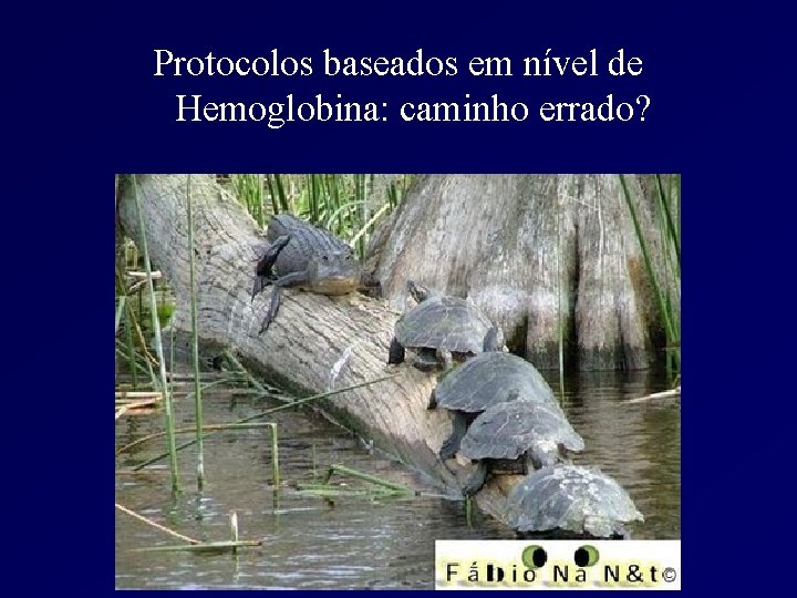 Protocolos baseados em nível de Hemoglobina: caminho errado? 