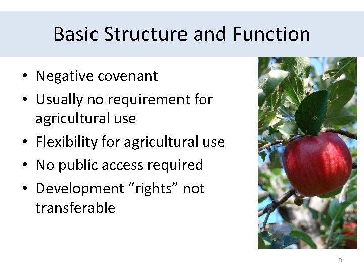 Basic Structure and Function • Negative covenant • Usually no requirement for agricultural use