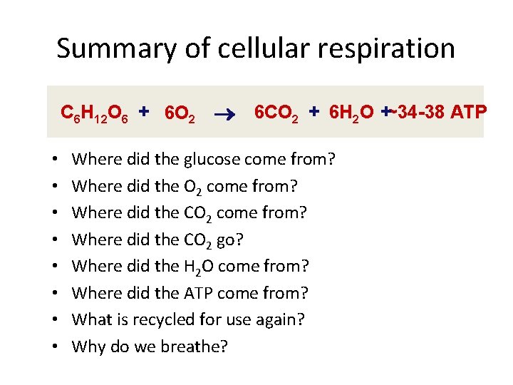 Summary of cellular respiration C 6 H 12 O 6 + 6 O 2