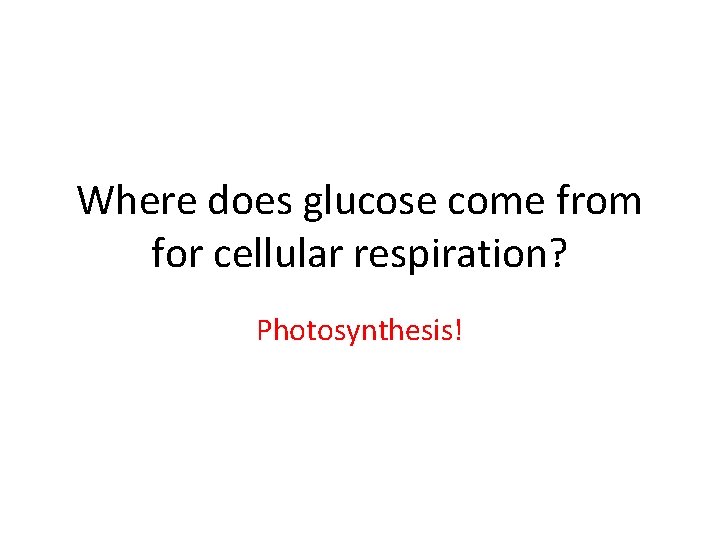 Where does glucose come from for cellular respiration? Photosynthesis! 
