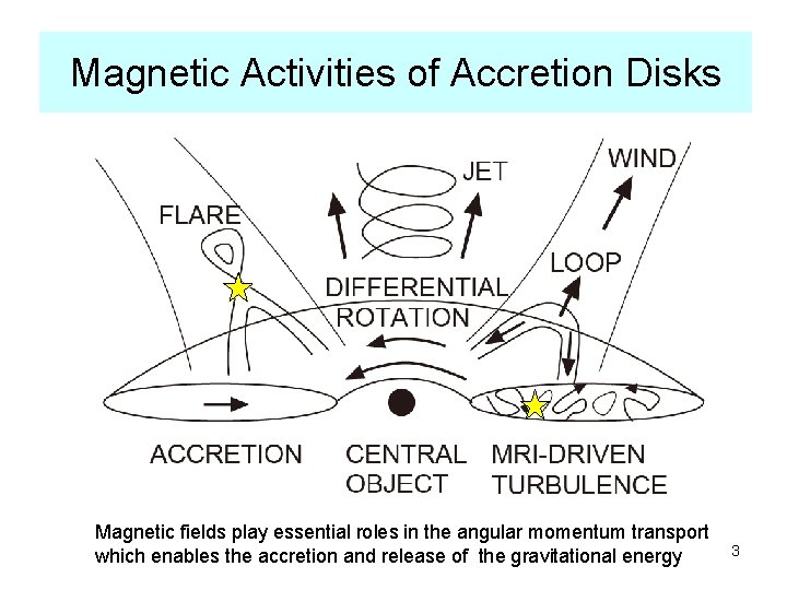 Magnetic Activities of Accretion Disks Magnetic fields play essential roles in the angular momentum