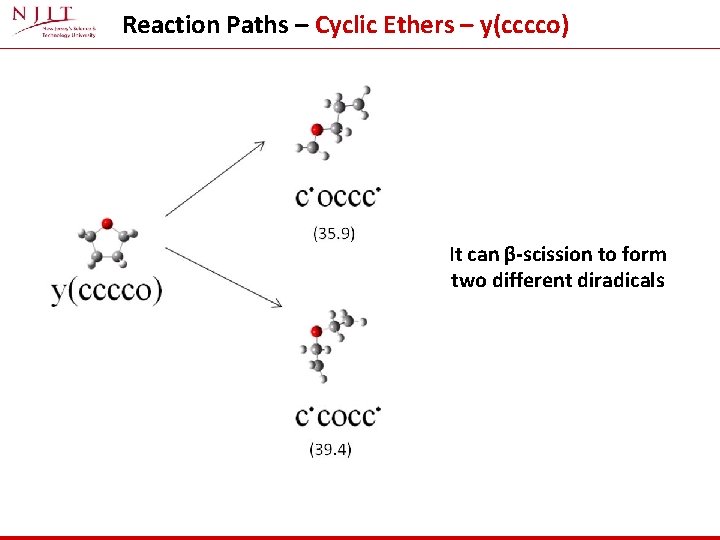 Reaction Paths – Cyclic Ethers – y(cccco) It can β-scission to form two different