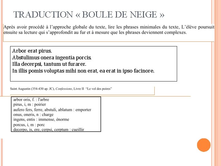 TRADUCTION « BOULE DE NEIGE » Arbor erat pirus. Abstulimus onera ingentia porcis. Illa