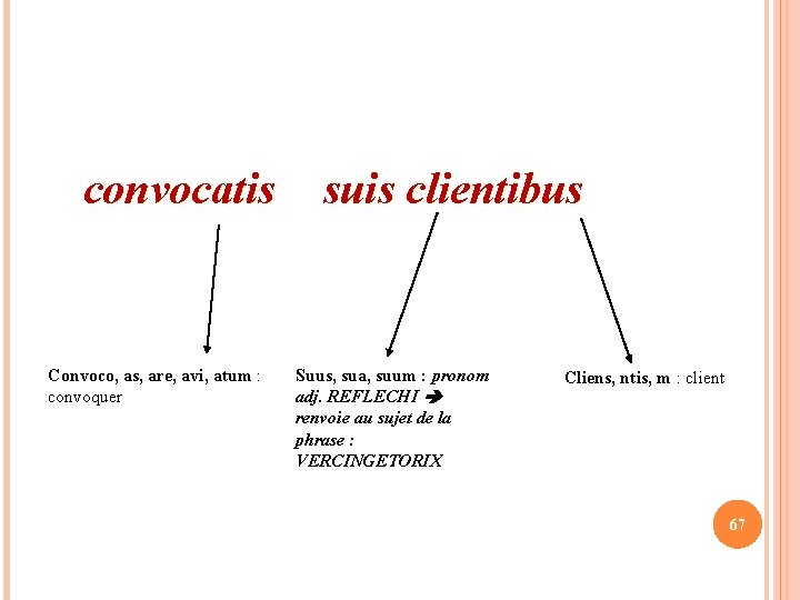 convocatis Convoco, as, are, avi, atum : convoquer suis clientibus Suus, sua, suum :