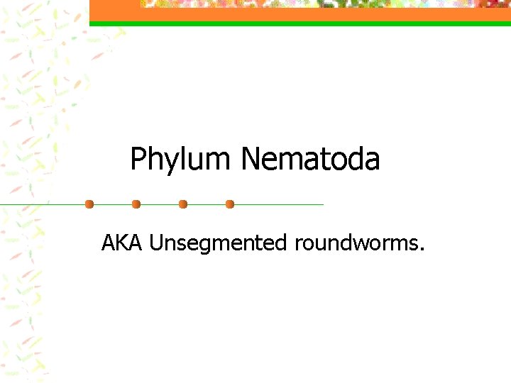 Phylum Nematoda AKA Unsegmented roundworms. 