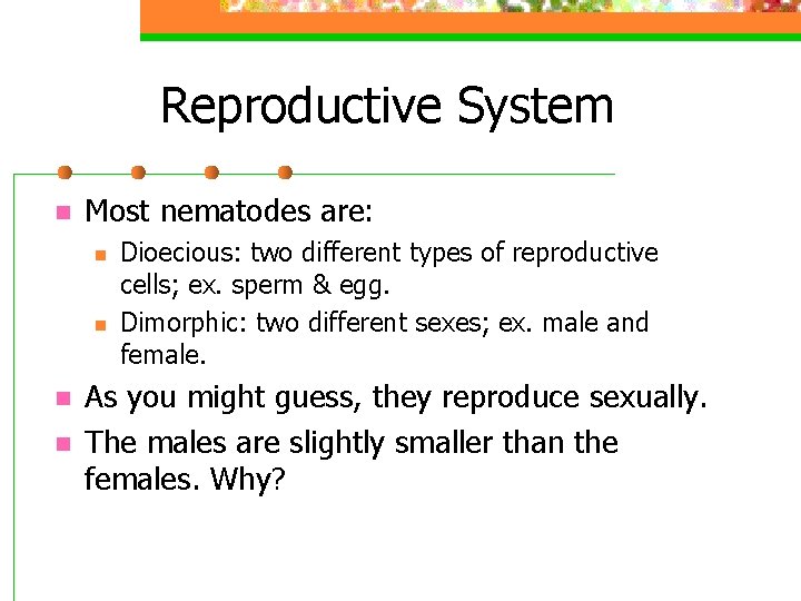 Reproductive System n Most nematodes are: n n Dioecious: two different types of reproductive