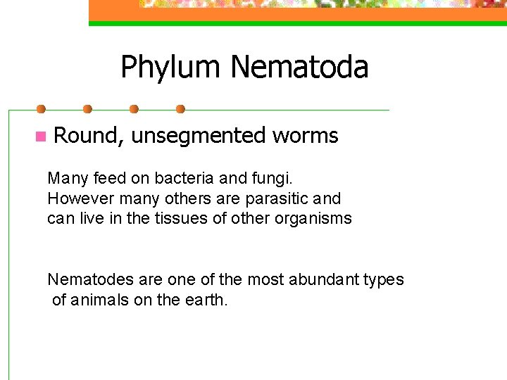 Phylum Nematoda n Round, unsegmented worms Many feed on bacteria and fungi. However many