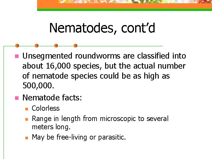 Nematodes, cont’d n n Unsegmented roundworms are classified into about 16, 000 species, but