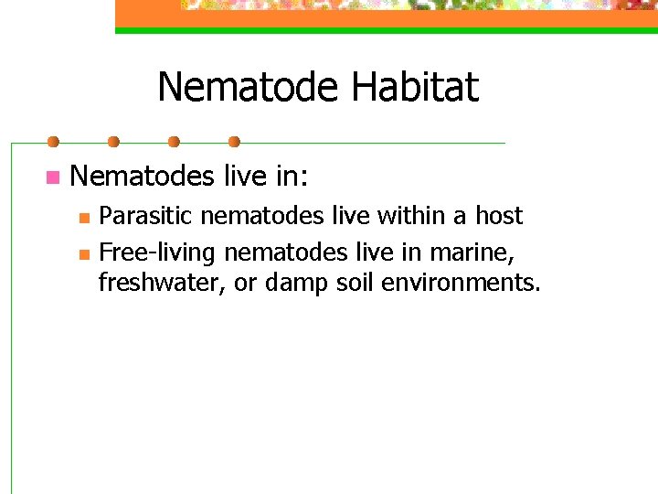 Nematode Habitat n Nematodes live in: n n Parasitic nematodes live within a host