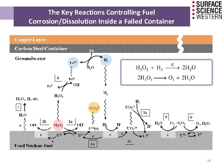 The Key Reactions Controlling Fuel Corrosion/Dissolution Inside a Failed Container 14 The Key Reactions Controlling Fuel Corrosion/Dissolution Inside a Failed Container 14