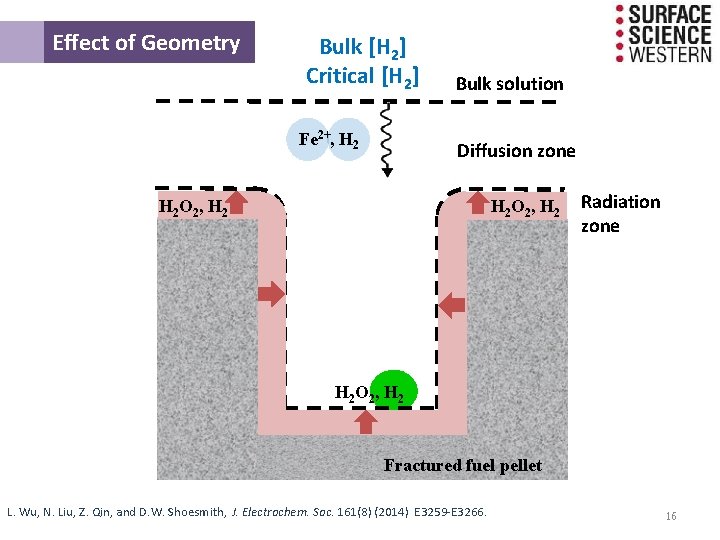 Effect of Geometry Bulk [H 2] Critical [H 2] Fe 2+, H 2 Bulk