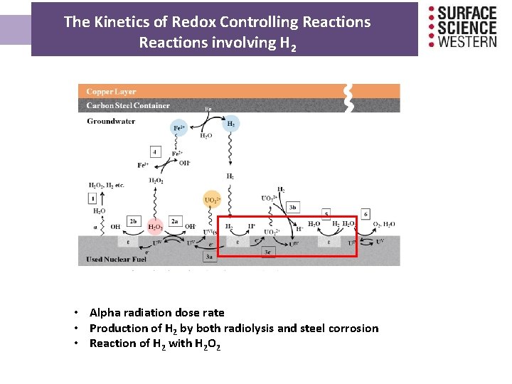 The Kinetics of Redox Controlling Reactions involving H 2 • Alpha radiation dose rate The Kinetics of Redox Controlling Reactions involving H 2 • Alpha radiation dose rate