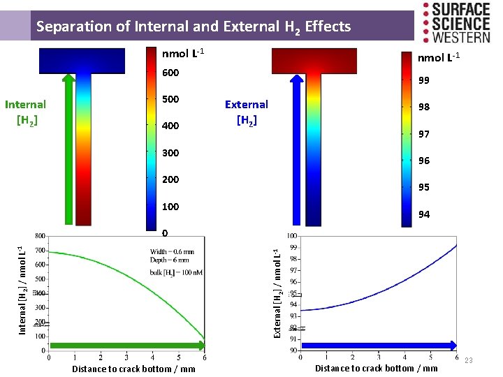Separation of Internal and External H 2 Effects nmol L-1 600 Internal [H Separation of Internal and External H 2 Effects nmol L-1 600 Internal [H
