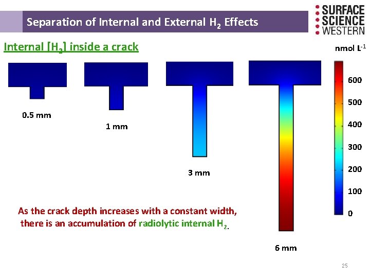  Separation of Internal and External H 2 Effects Internal [H 2] inside a