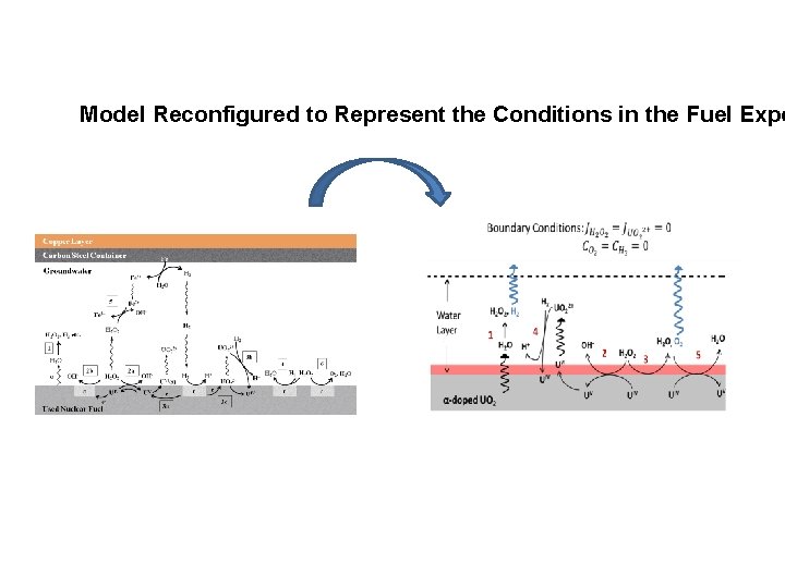 Model Reconfigured to Represent the Conditions in the Fuel Expe Model Reconfigured to Represent the Conditions in the Fuel Expe