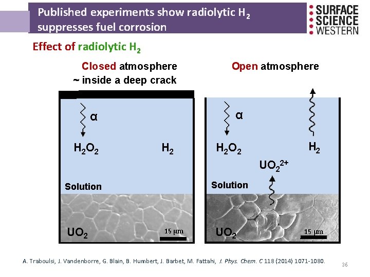 Published experiments show radiolytic H 2 suppresses fuel corrosion Effect of radiolytic H 2 Published experiments show radiolytic H 2 suppresses fuel corrosion Effect of radiolytic H 2