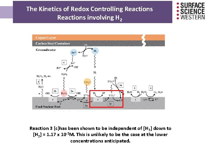 The Kinetics of Redox Controlling Reactions involving H 2 Reaction 3 (c)has been shown The Kinetics of Redox Controlling Reactions involving H 2 Reaction 3 (c)has been shown
