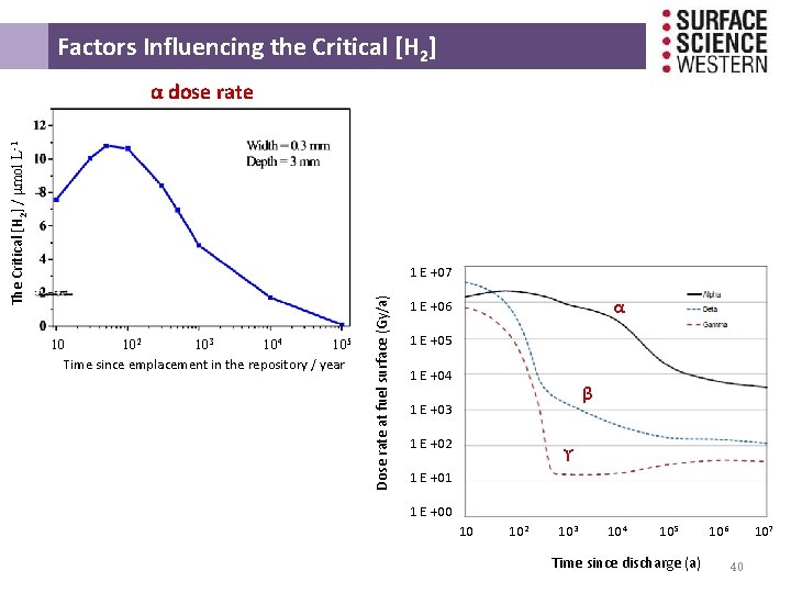  Factors Influencing the Critical [H 2] The Critical [H 2] / μmol L-1