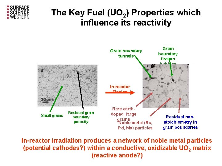 The Key Fuel (UO 2) Properties which influence its reactivity Grain boundary tunnels Grain The Key Fuel (UO 2) Properties which influence its reactivity Grain boundary tunnels Grain