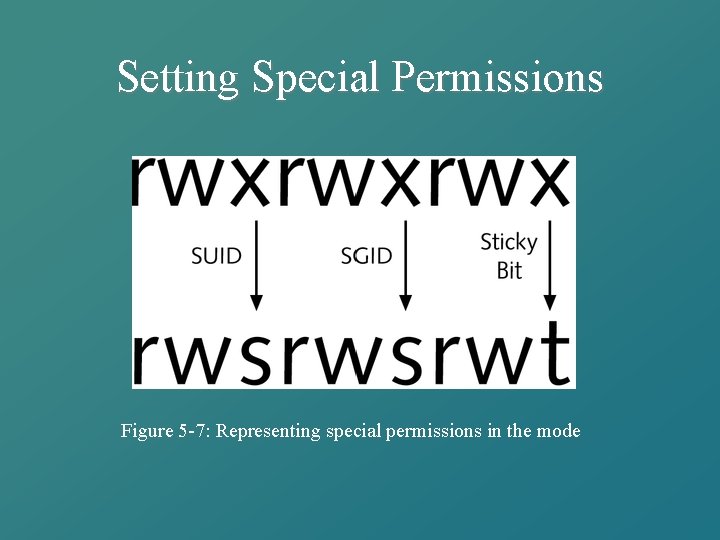 Setting Special Permissions Figure 5 -7: Representing special permissions in the mode 