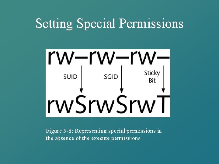 Setting Special Permissions Figure 5 -8: Representing special permissions in the absence of the