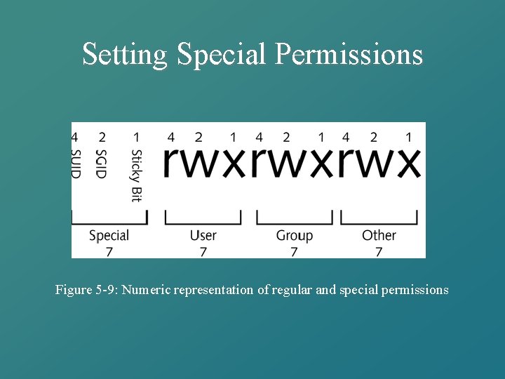 Setting Special Permissions Figure 5 -9: Numeric representation of regular and special permissions 