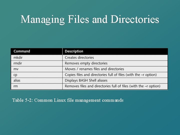 Managing Files and Directories Table 5 -2: Common Linux file management commands 