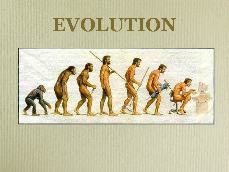 EVOLUTION 