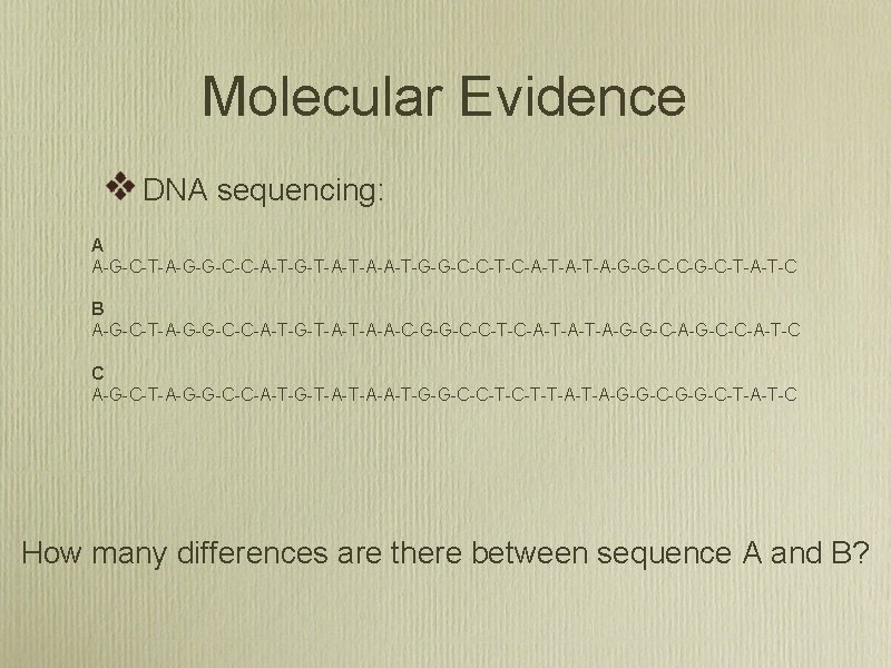 Molecular Evidence DNA sequencing: A A-G-C-T-A-G-G-C-C-A-T-G-T-A-A-T-G-G-C-C-T-C-A-T-A-G-G-C-C-G-C-T-A-T-C B A-G-C-T-A-G-G-C-C-A-T-G-T-A-A-C-G-G-C-C-T-C-A-T-A-G-G-C-A-G-C-C-A-T-C C A-G-C-T-A-G-G-C-C-A-T-G-T-A-A-T-G-G-C-C-T-T-A-G-G-C-T-A-T-C How many differences are