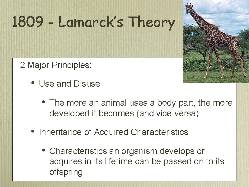 1809 - Lamarck’s Theory 2 Major Principles: • Use and Disuse • • The