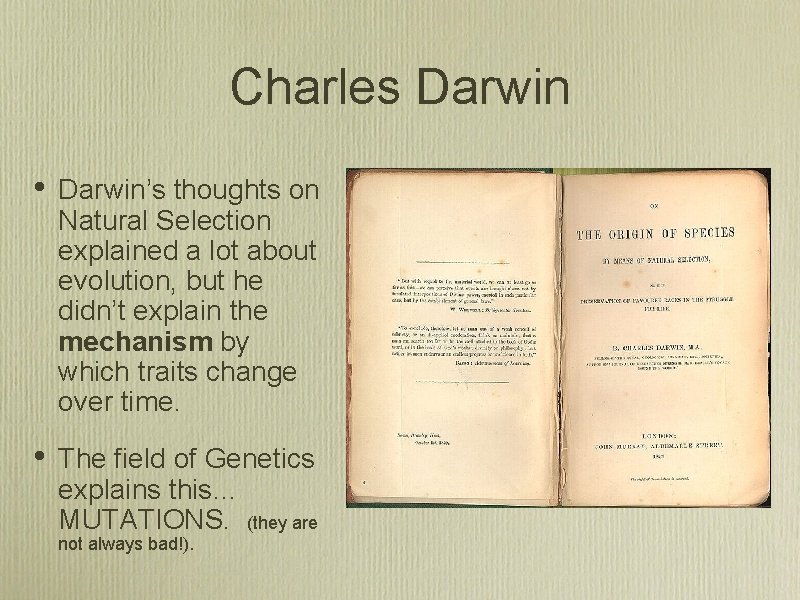 Charles Darwin • Darwin’s thoughts on Natural Selection explained a lot about evolution, but