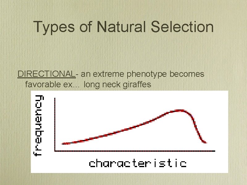 Types of Natural Selection DIRECTIONAL- an extreme phenotype becomes favorable ex… long neck giraffes