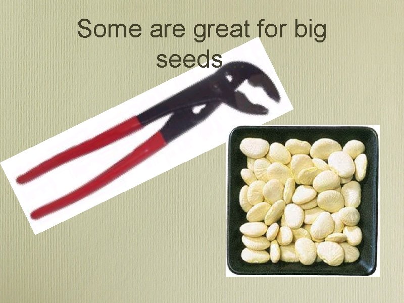 Some are great for big seeds… 