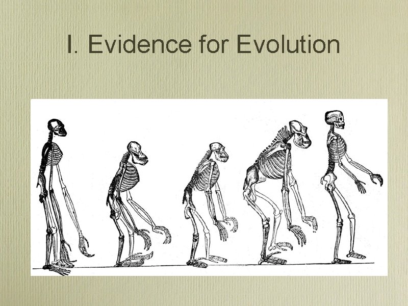 I. Evidence for Evolution 