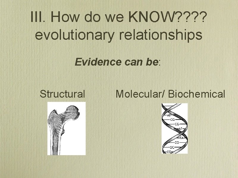 III. How do we KNOW? ? evolutionary relationships Evidence can be: Structural Molecular/ Biochemical